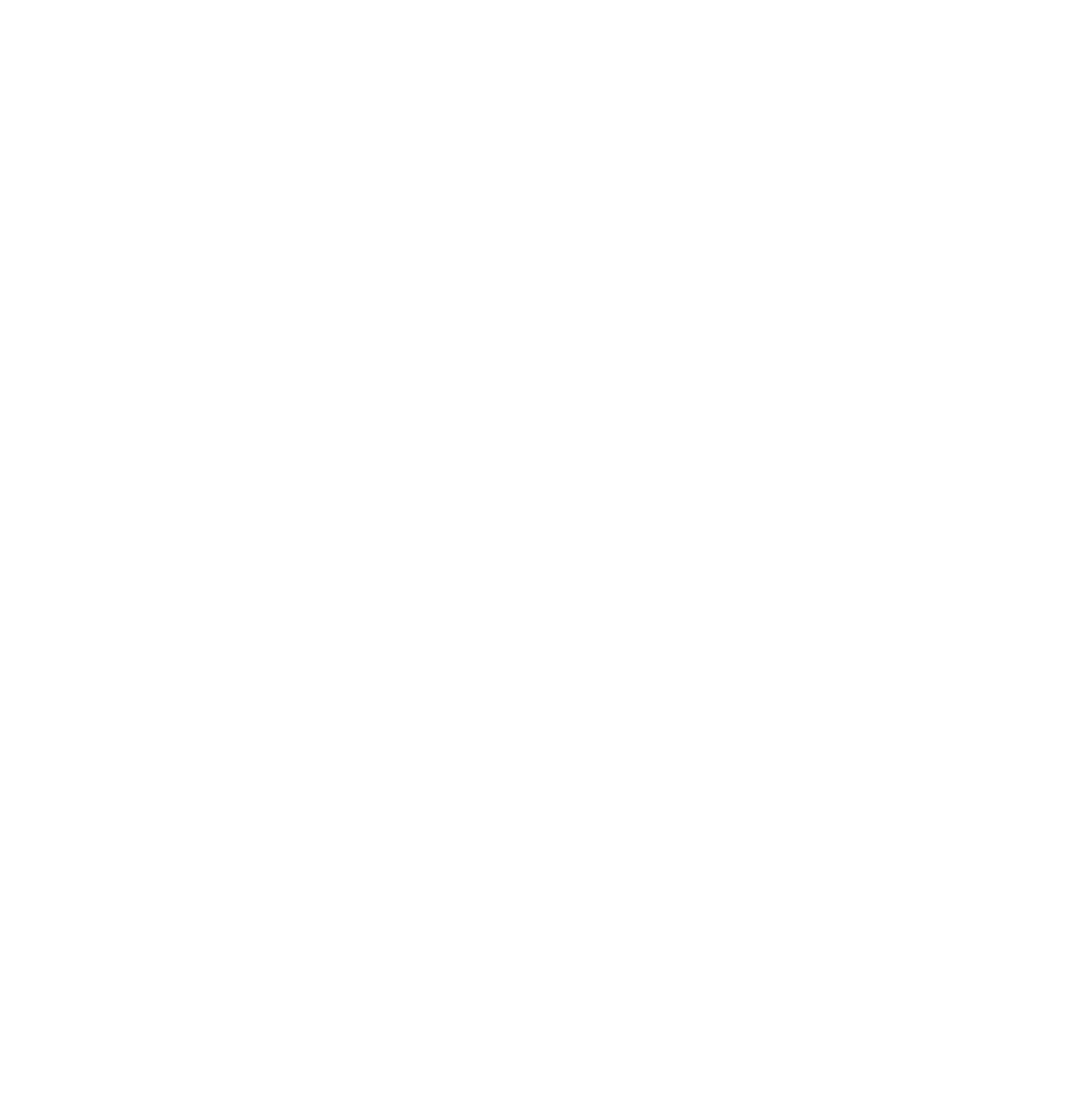 LVS Trendz